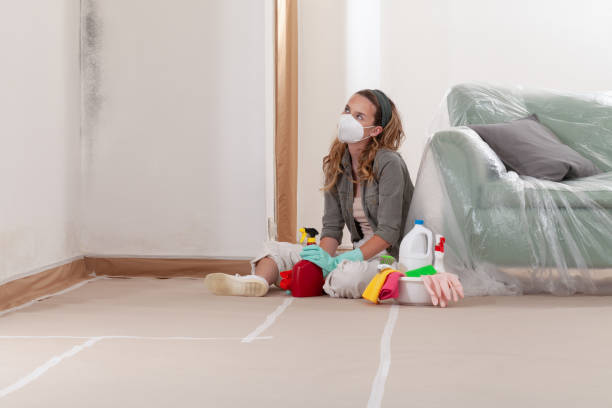 Reliable Mold Remediation contractor in Chapel Hill, TN by Cheap Mold Removal